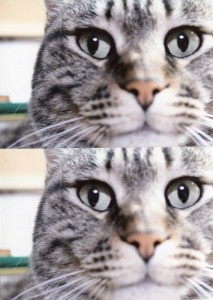 img-2-020_上店長　下恐らく店長以外