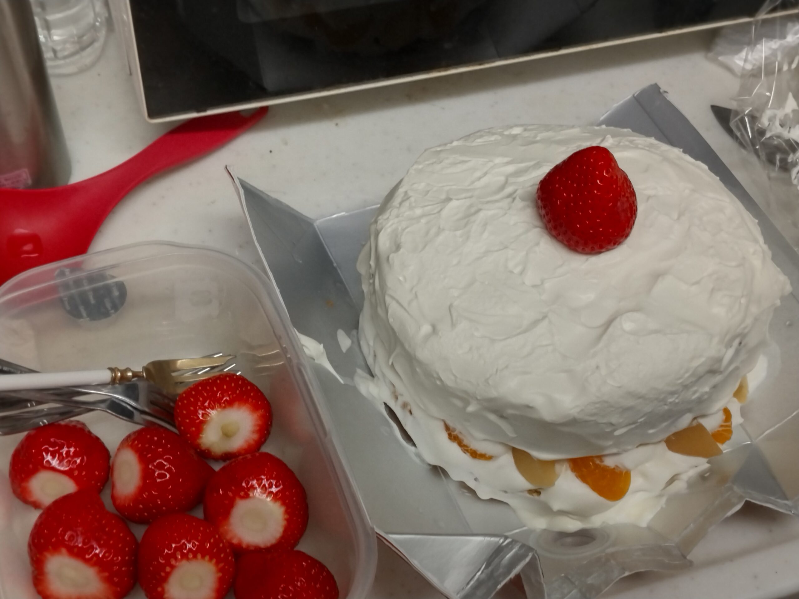 クリスマスケーキ/2024